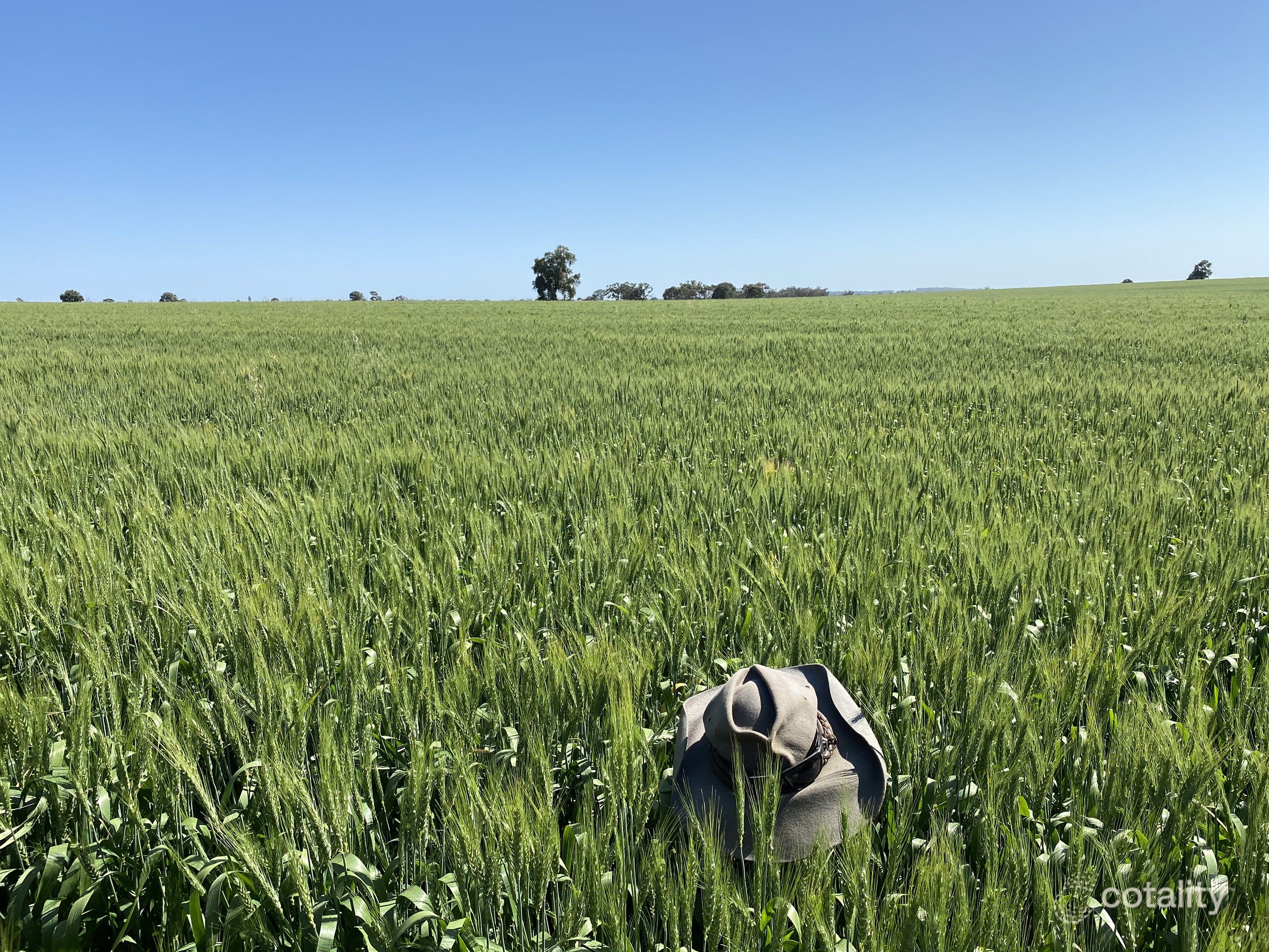 190 Ootha Rd, Fifield, NSW 2875