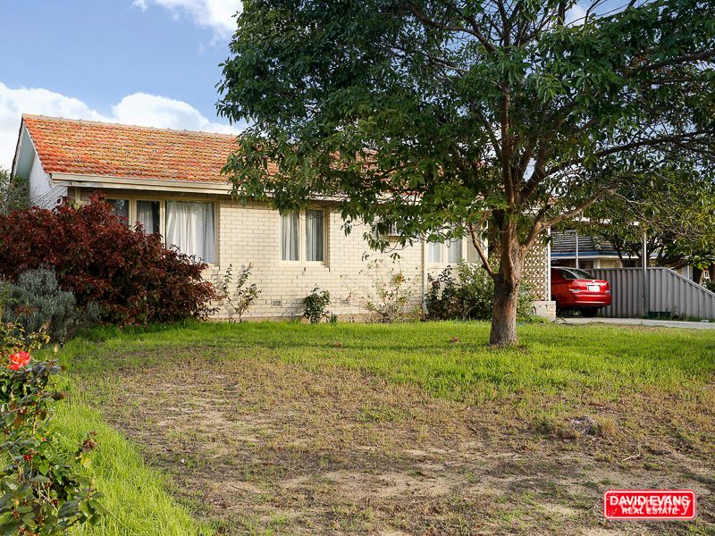 16 Glenwood Way, Balcatta, WA 6021
