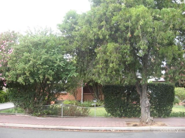 19 Phillipps St, Somerton Park, SA 5044