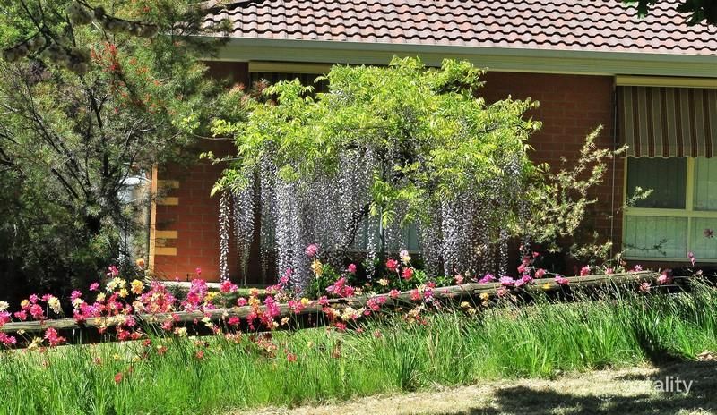 35 Albert Rd, Beechworth, VIC 3747