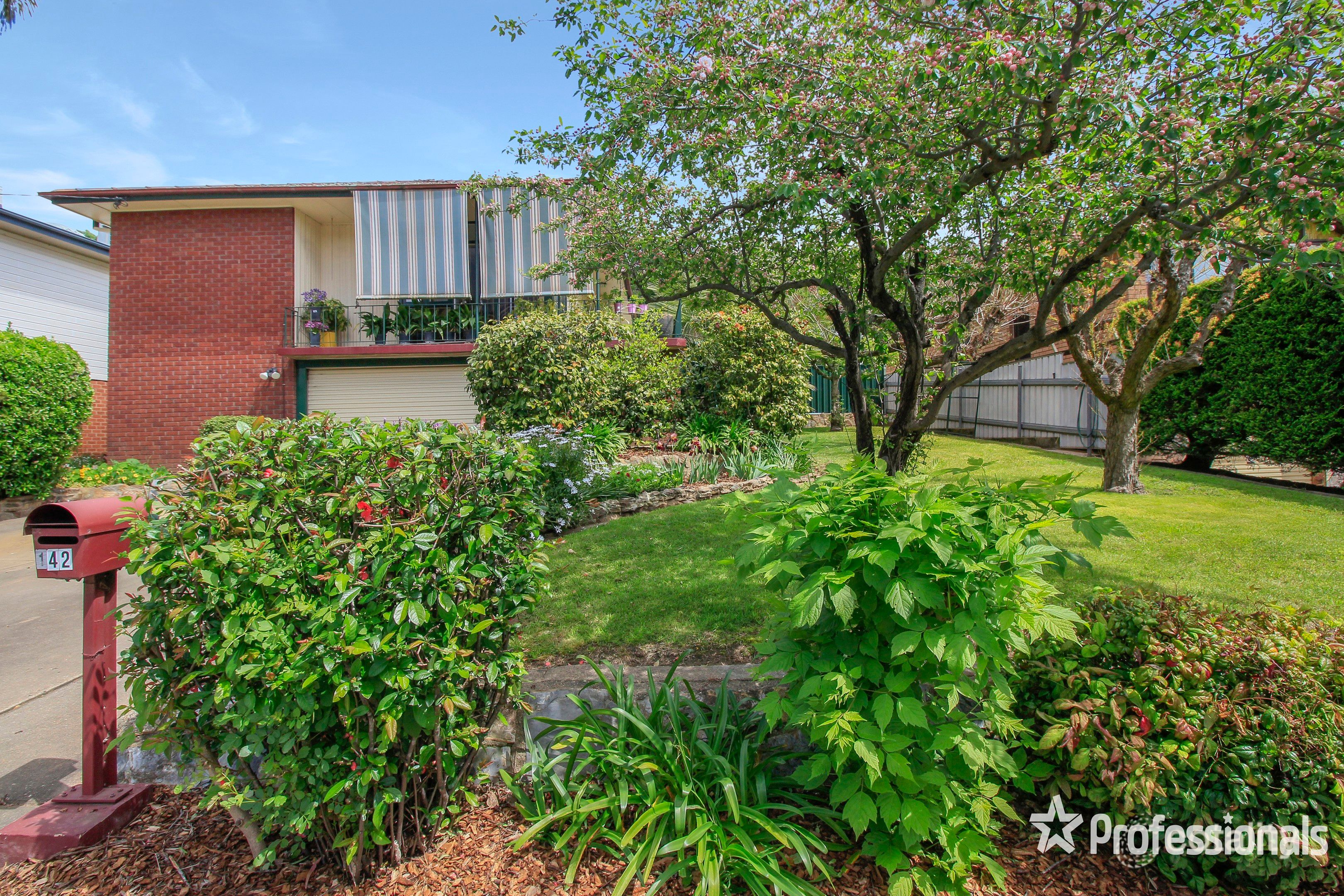 142 Lake Albert Rd, Kooringal, NSW 2650