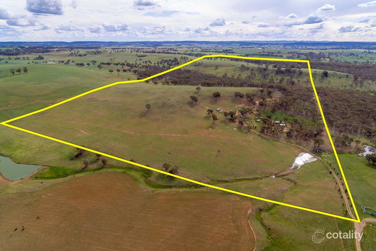 11 Euchareena Rd, Molong, NSW 2866