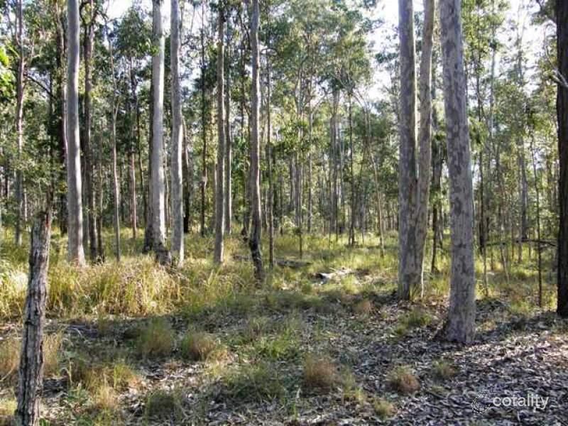 Lot 113 Orara Way, Lanitza, NSW 2460