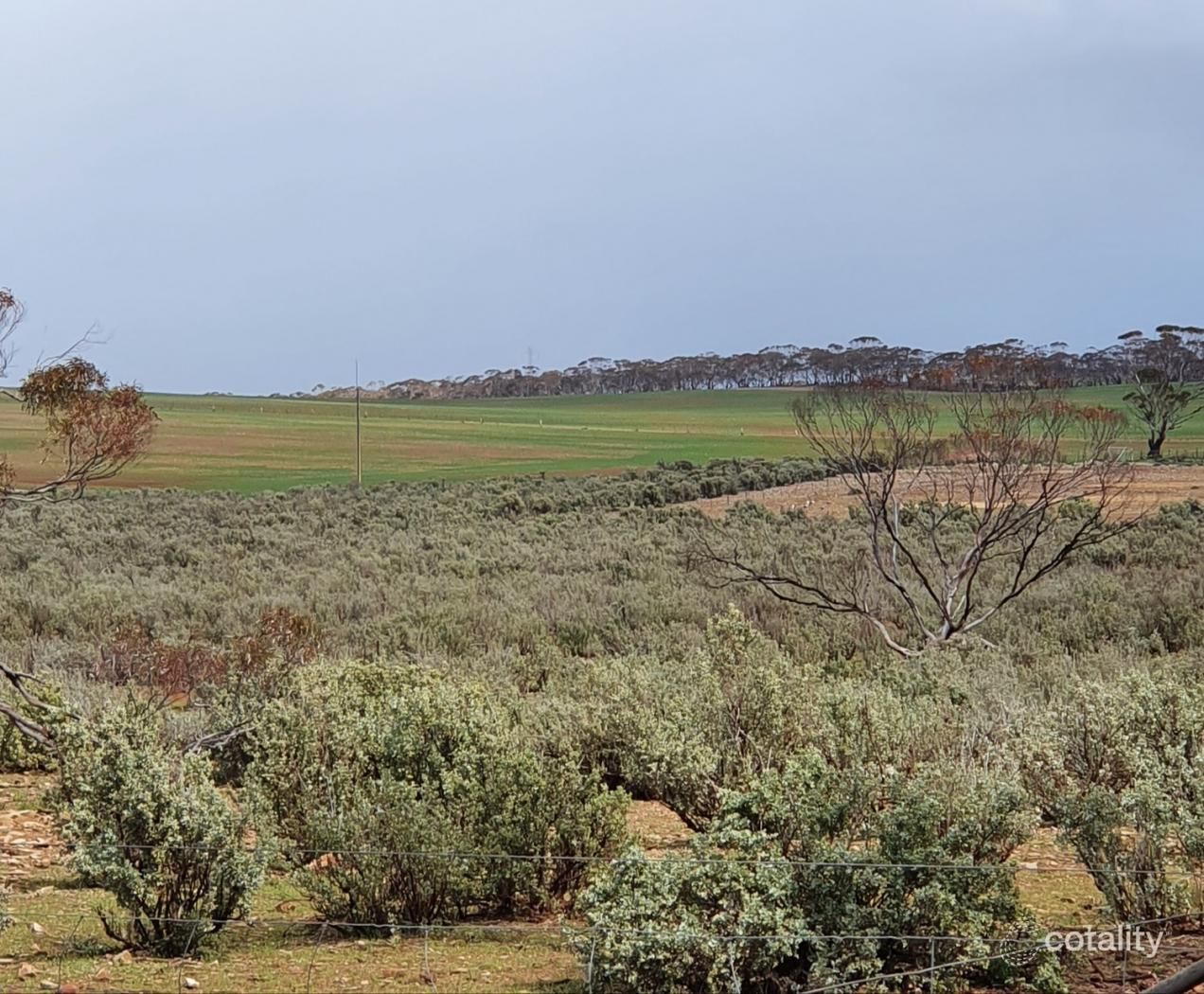 106 Railway Tce, Sutherlands, SA 5374