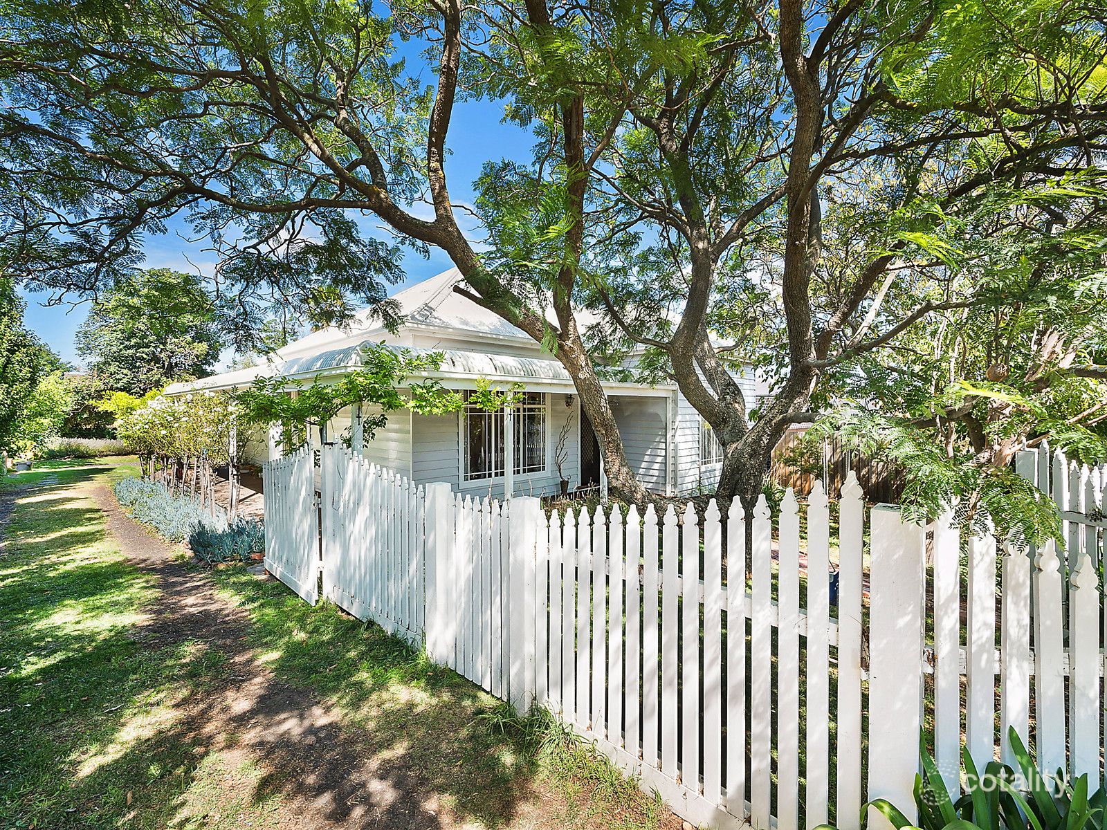 99 Mount Pleasant Rd, Belmont, VIC 3216