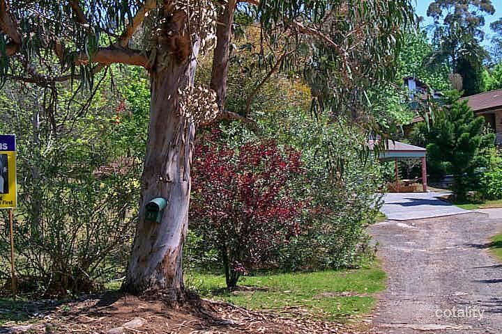 21 Lindisfarne Cres, Carlingford, NSW 2118