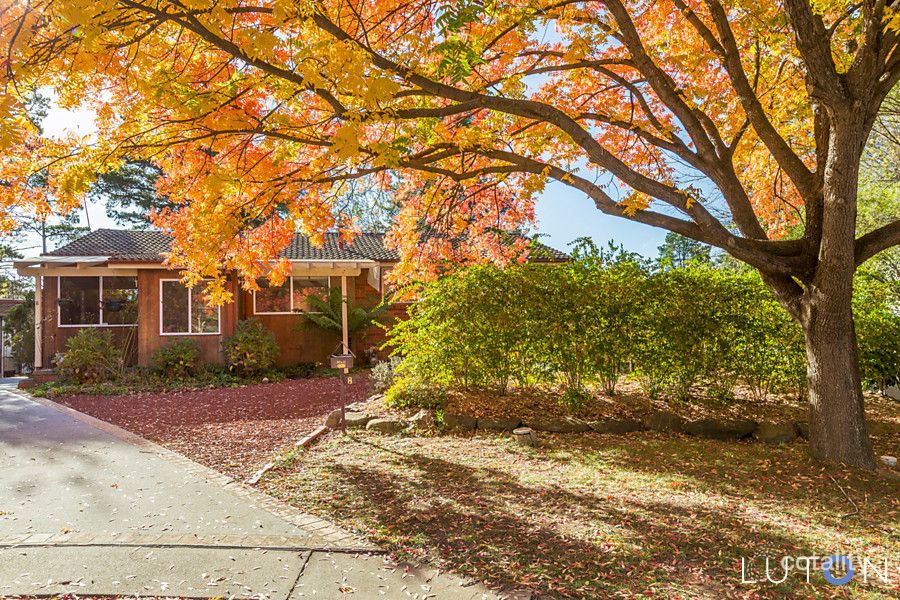 8 Adams Pl, Watson, ACT 2602