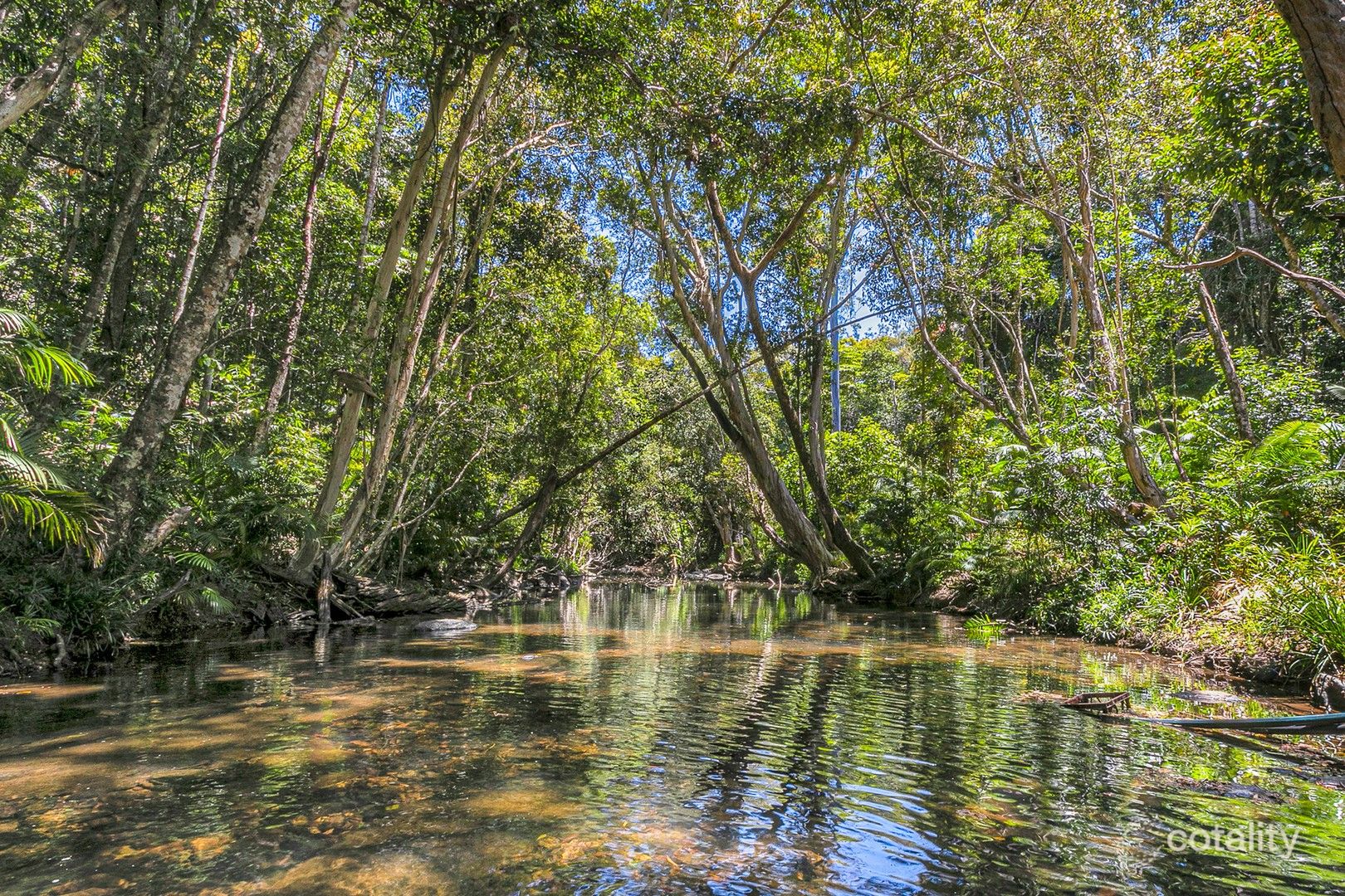 226 Ganyan Dr, Speewah, QLD 4881