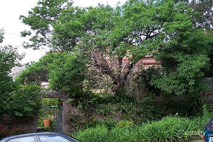 52 The Crescent, Cheltenham, NSW 2119