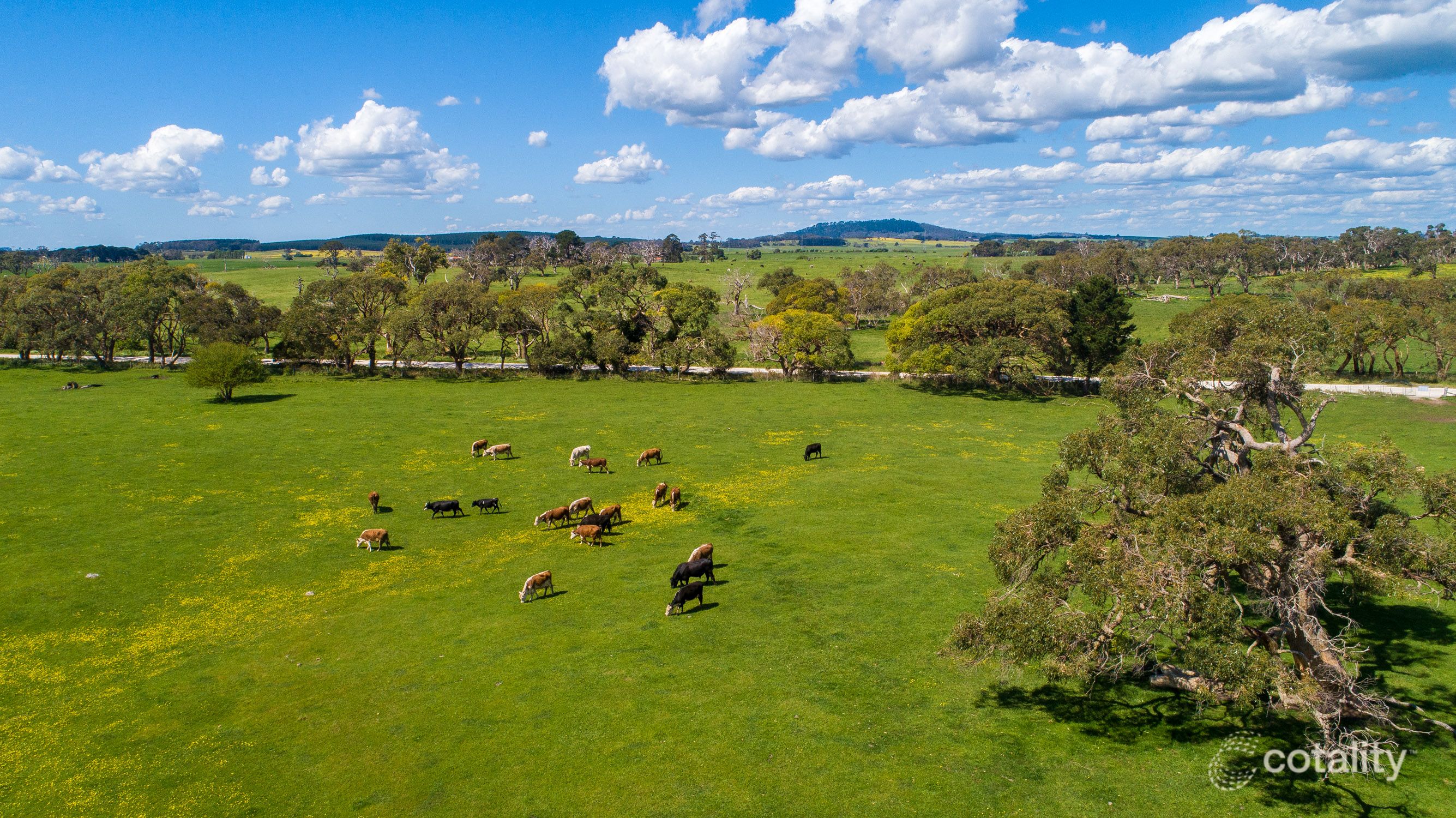 Lot 378 Burnda Rd, Compton, SA 5291