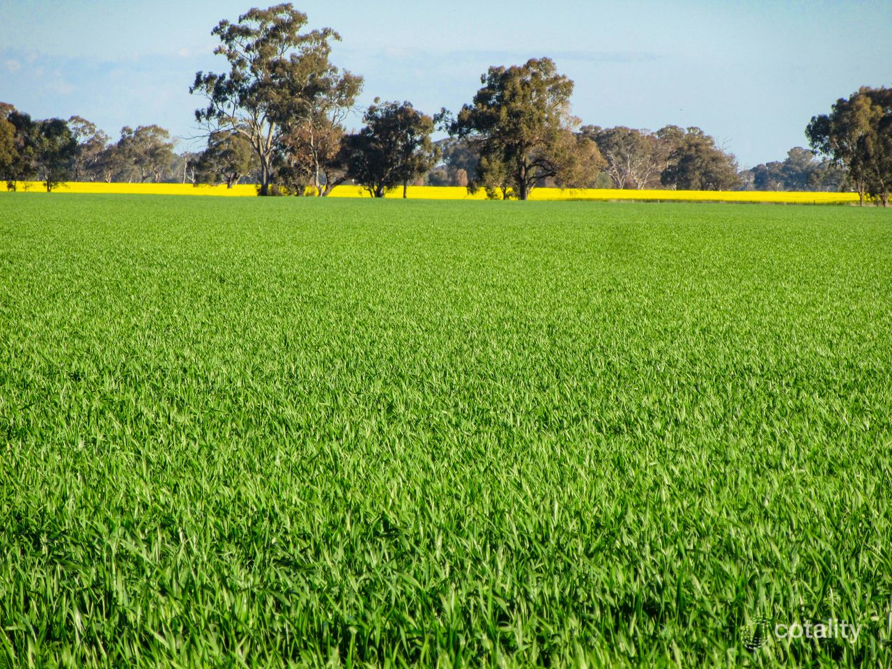 621 Ross Rd, Kaarimba, VIC 3635