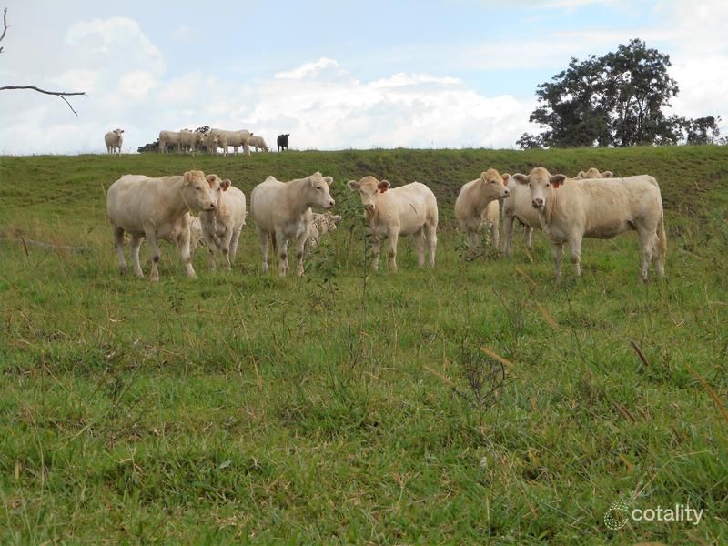 161 Hemmings Lane, Upper Barron, QLD 4883