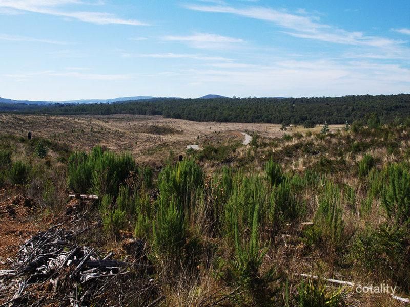 1458 Bendoc-Orbost Rd, Bendoc, VIC 3888