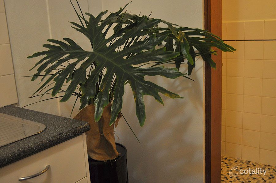 2/26-30 Ramsay Rd, Five Dock, NSW 2046