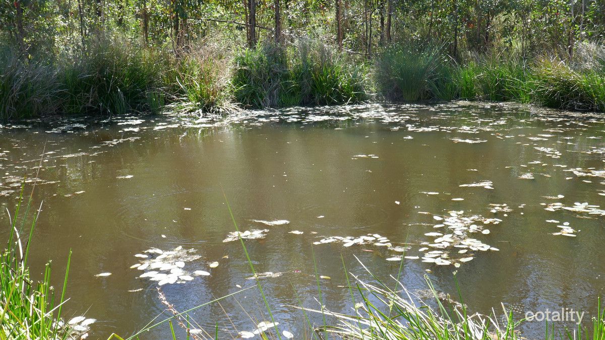 165 Ewingar Ridge Rd, Ewingar, NSW 2469