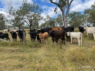 101 Lack Rd, Back Plains, QLD 4361