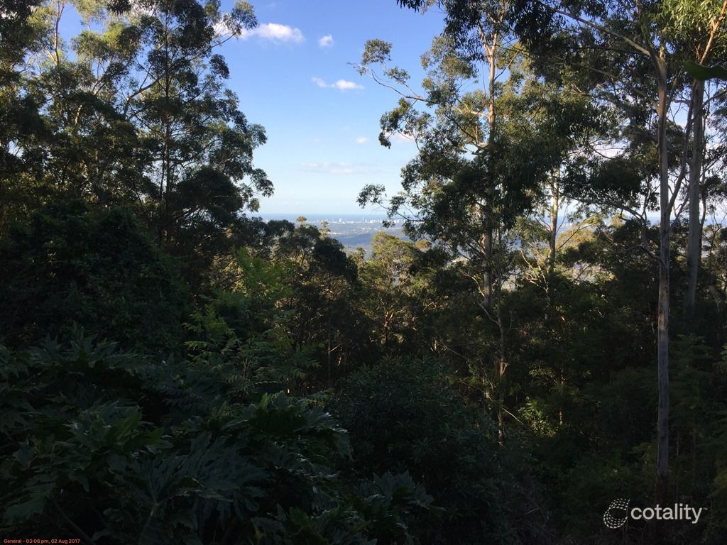 10 Gretty Lane, Lower Beechmont, QLD 4211