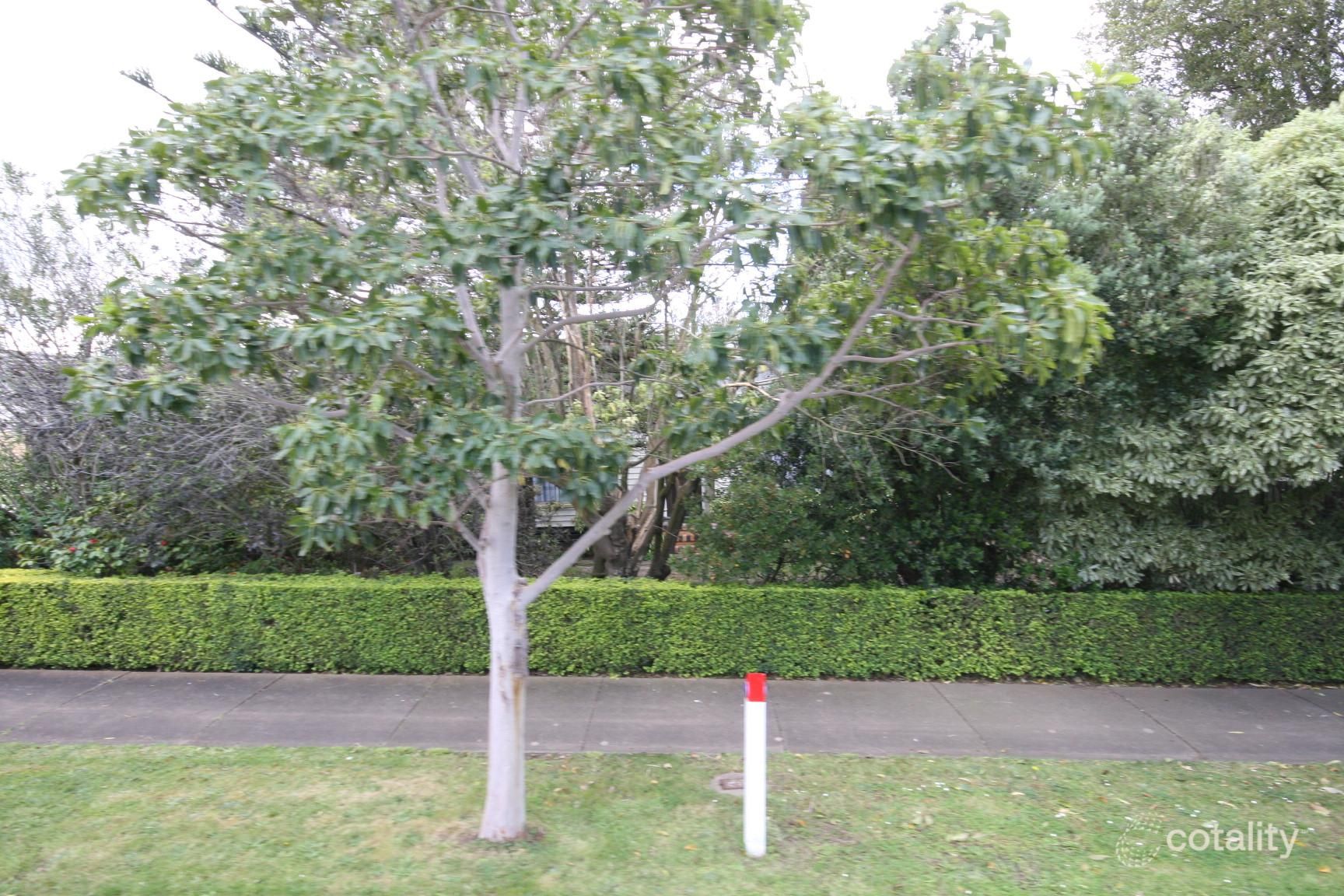 2 Woodley Ct, Highton, VIC 3216