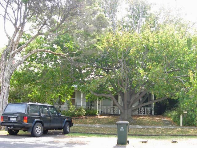 216 Osborne St, Williamstown, VIC 3016