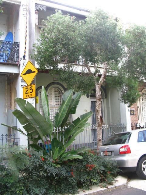 46 Ridge St, Surry Hills, NSW 2010