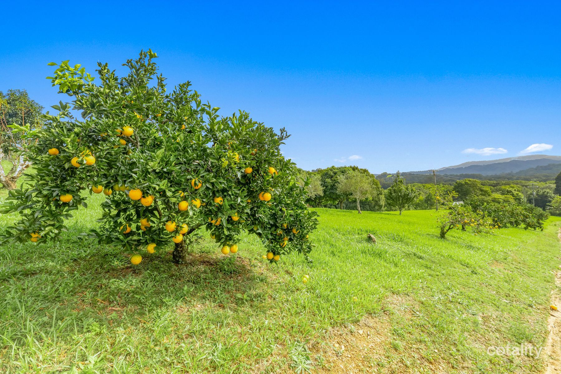 101 Sister Tree Creek Rd, Kin Kin, QLD 4571