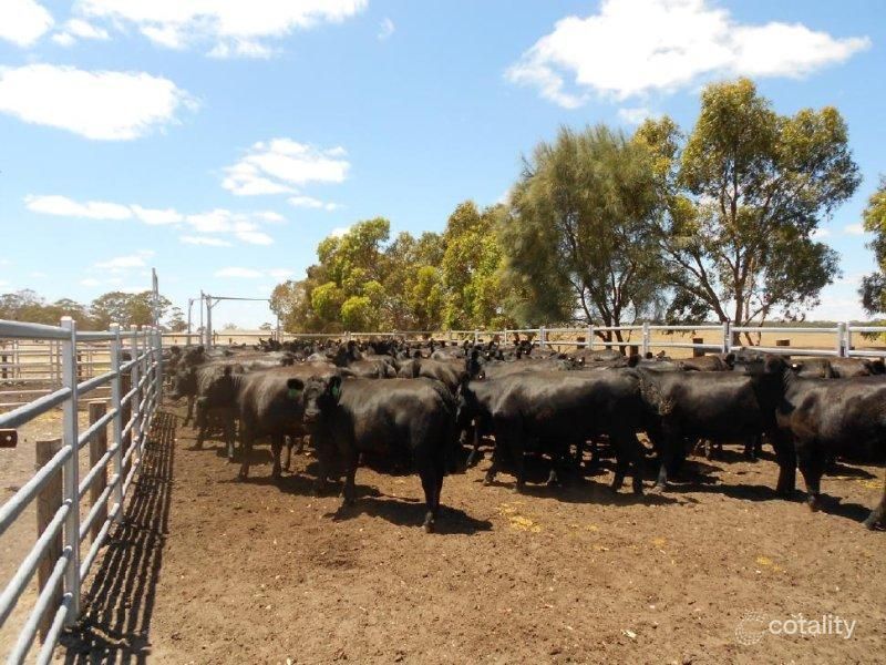 193 Dunstall Rd, Bangham, SA 5268