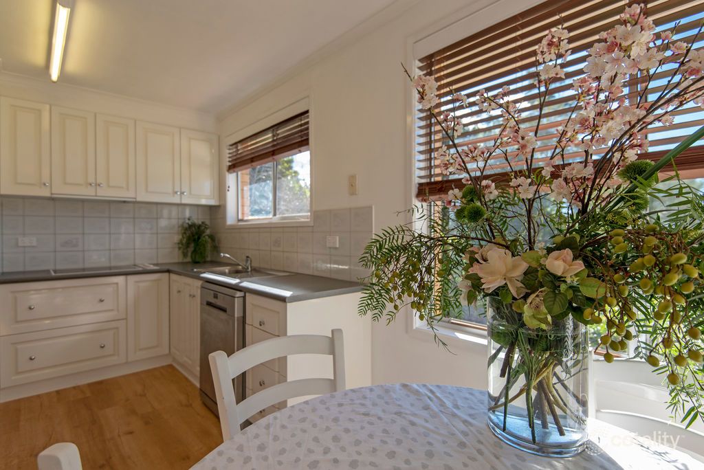 13 Doherty St, Rockville, QLD 4350