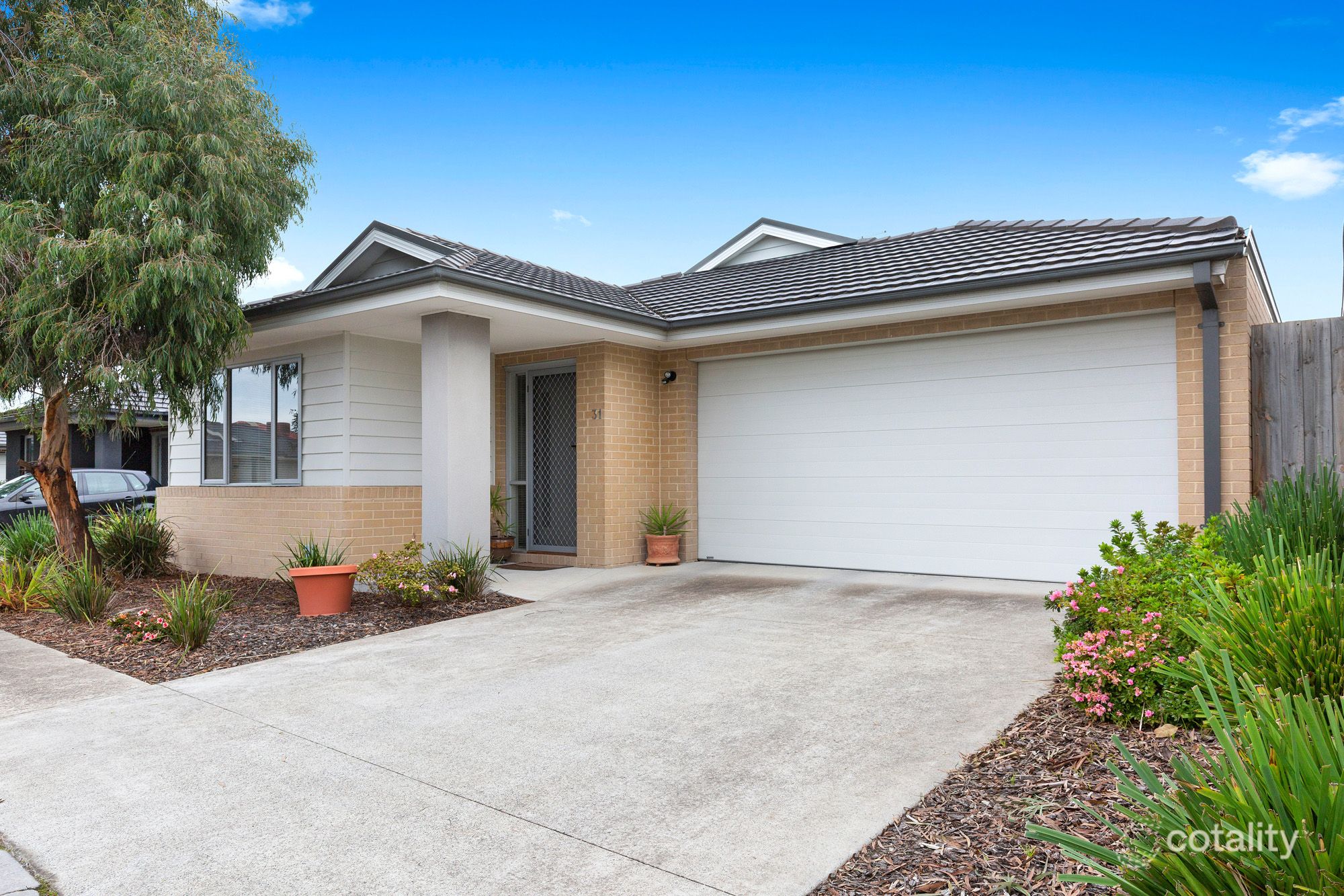 31 Cabernet Dr, Somerville, VIC 3912