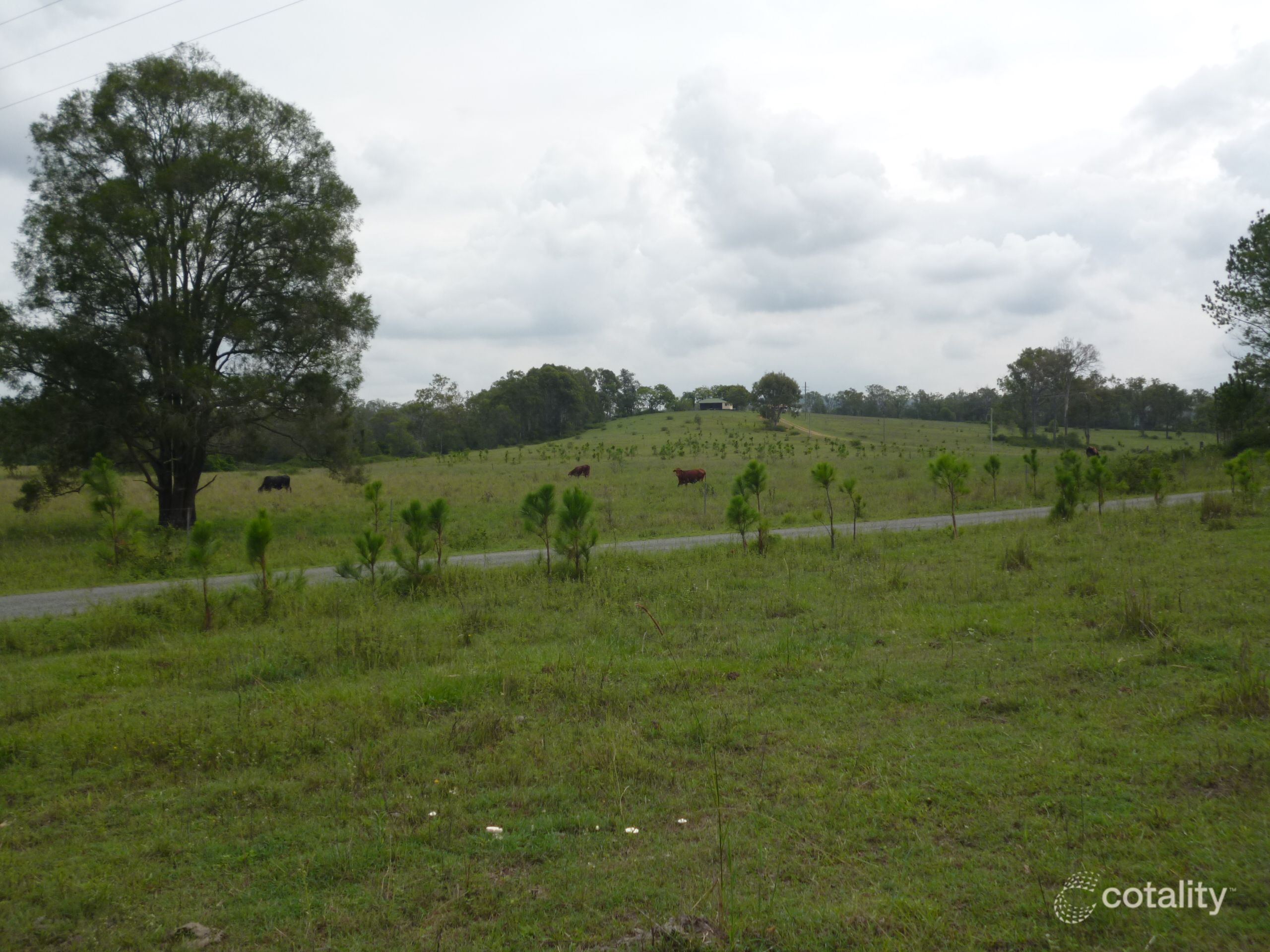 2445-2483 Waterford Tamborine Rd, Tamborine, QLD 4270