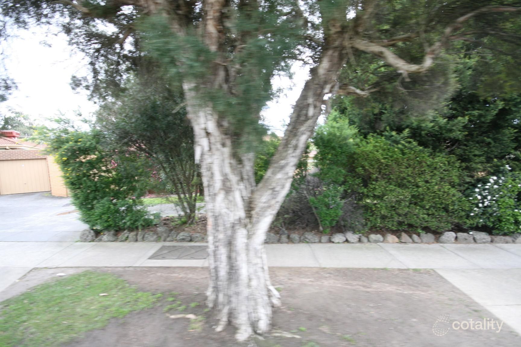 2/25 Albert Ave, Boronia, VIC 3155