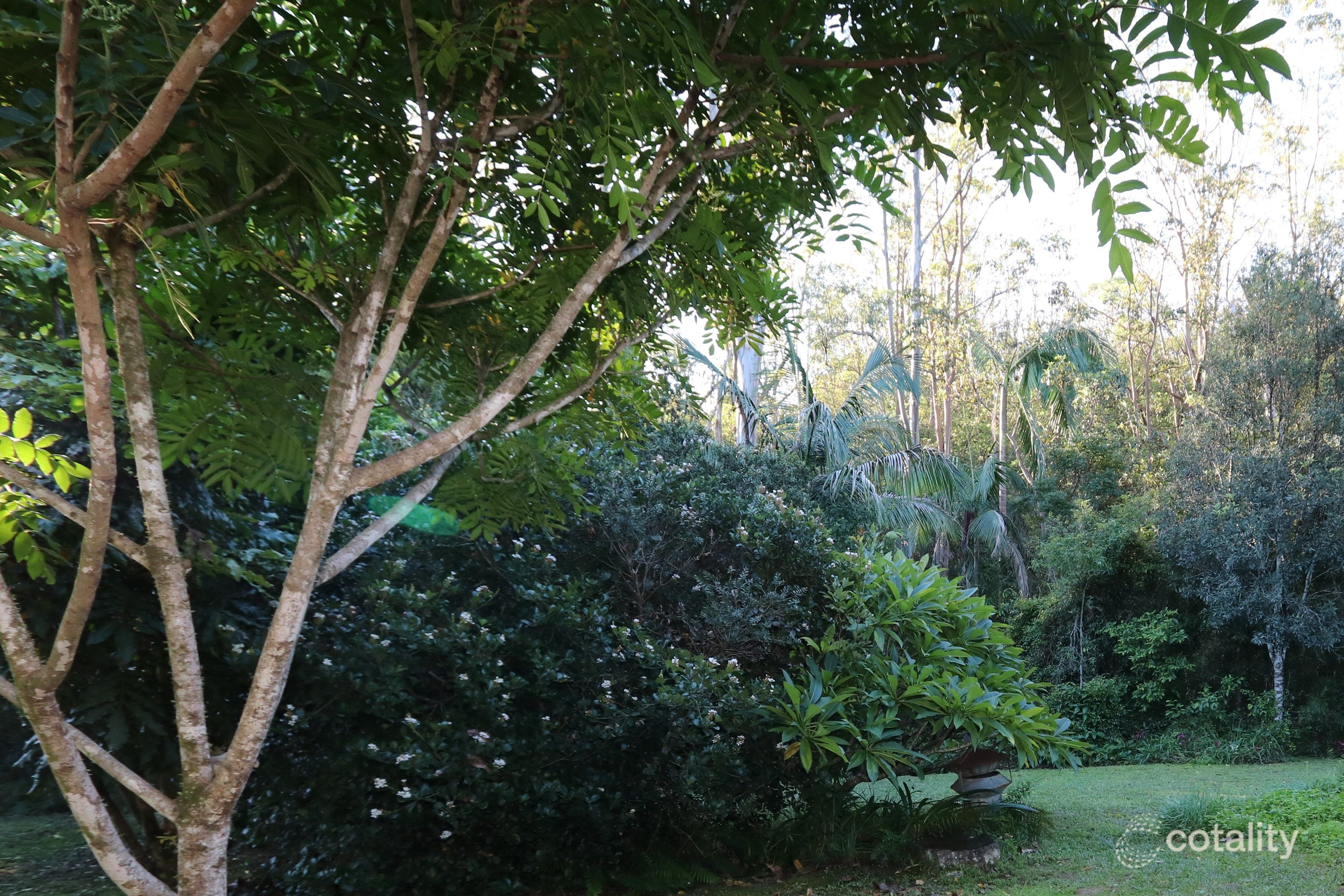 40/78 Cecil St, Nimbin, NSW 2480