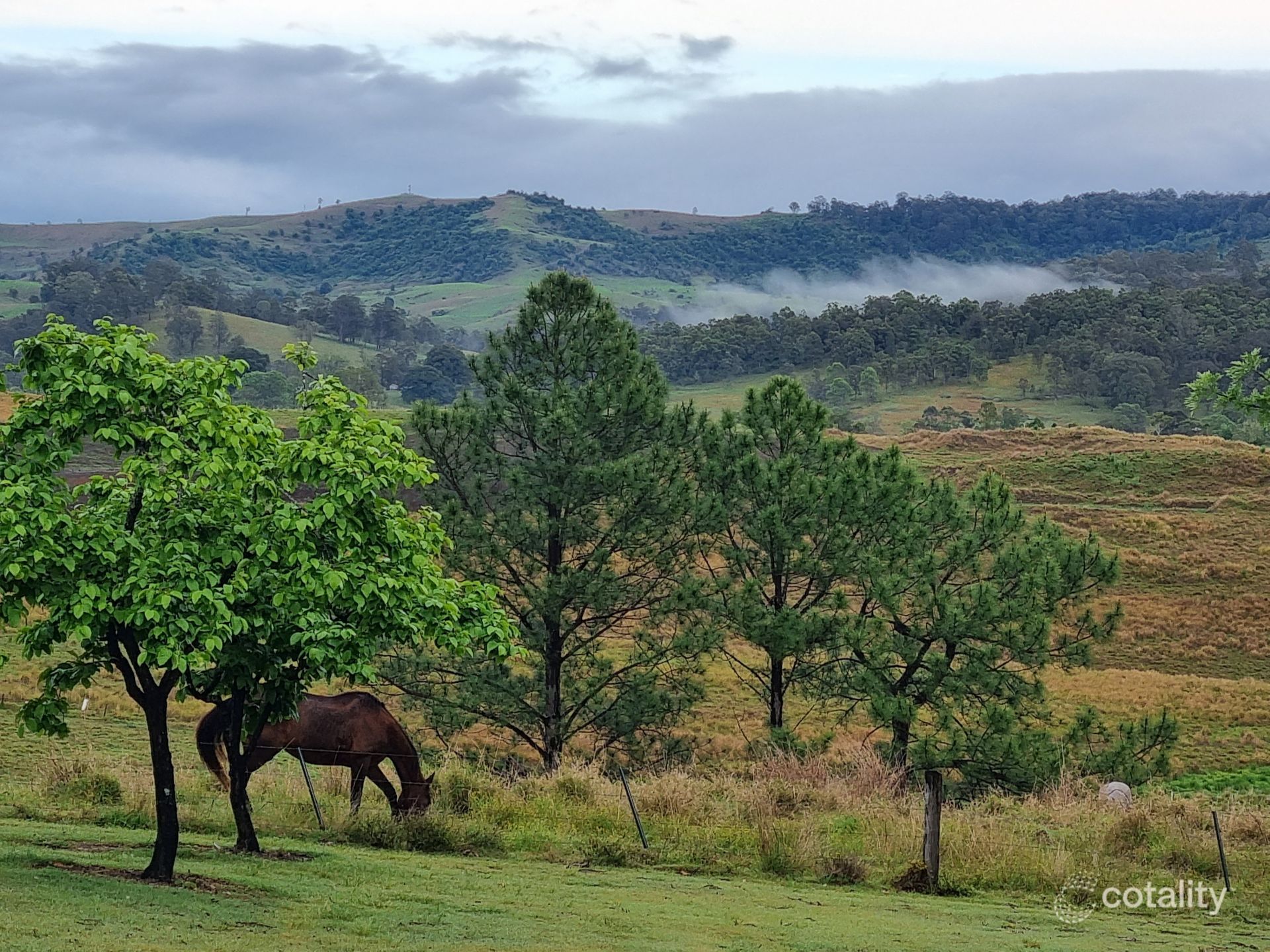 78 Nicholls Rd, Mummulgum, NSW 2469
