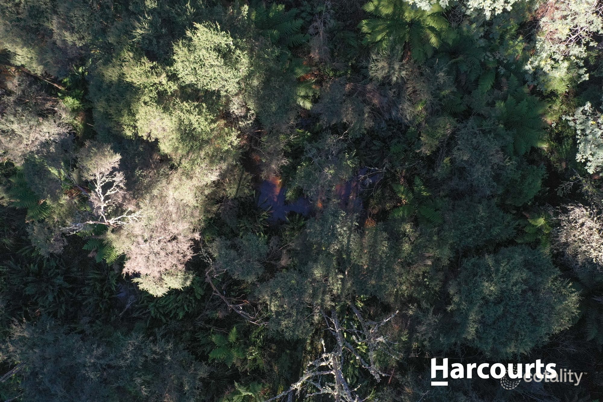 5 Main Rd, Musselroe Bay, TAS 7264