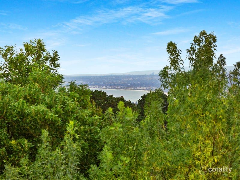 24 Chetwyn Ct, Frankston South, VIC 3199