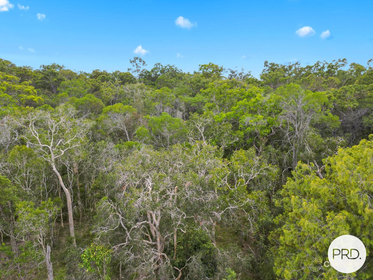215 Masthead Dr, Agnes Water, QLD 4677