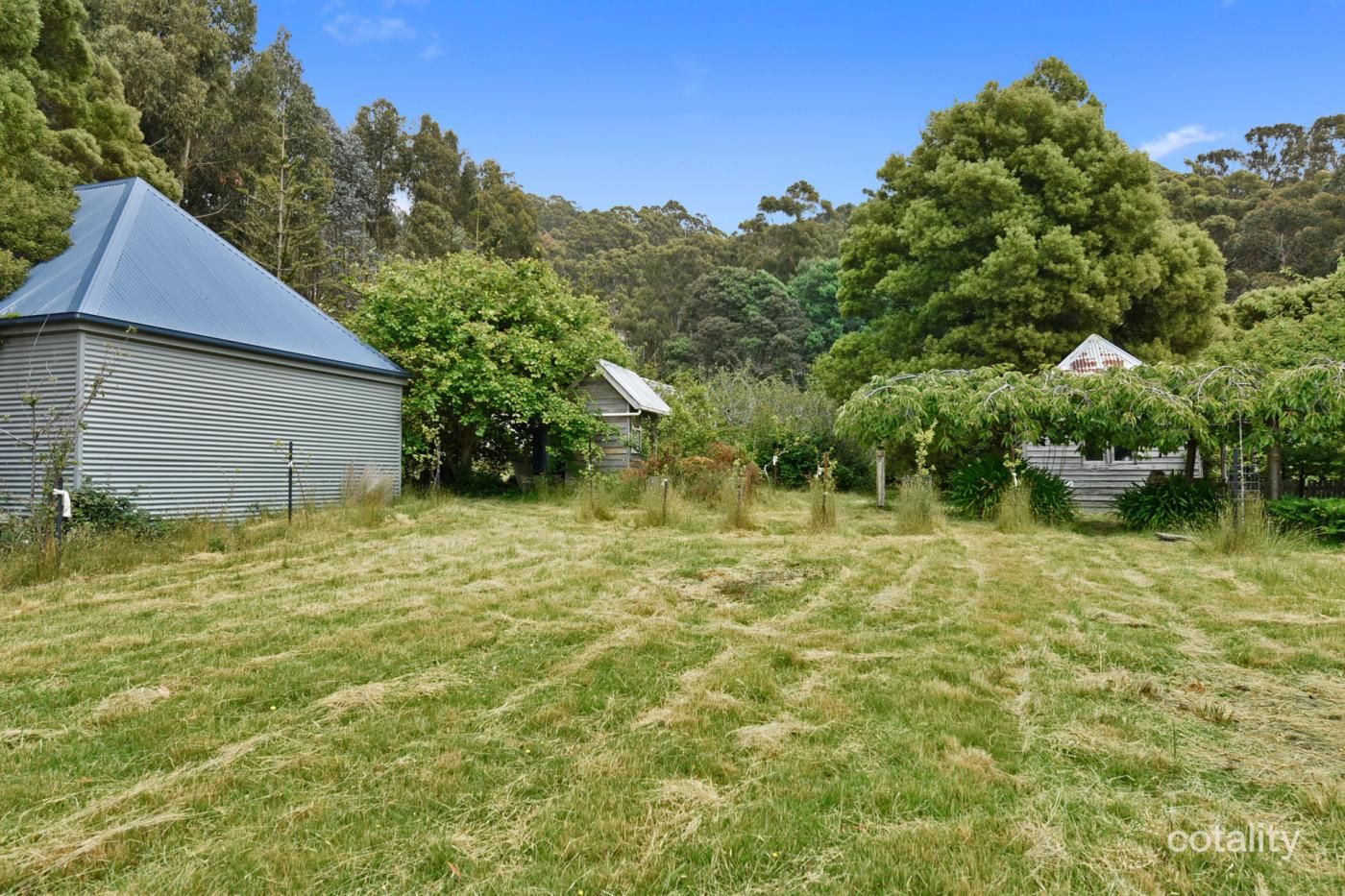 444 Safety Cove Rd, Port Arthur, TAS 7182