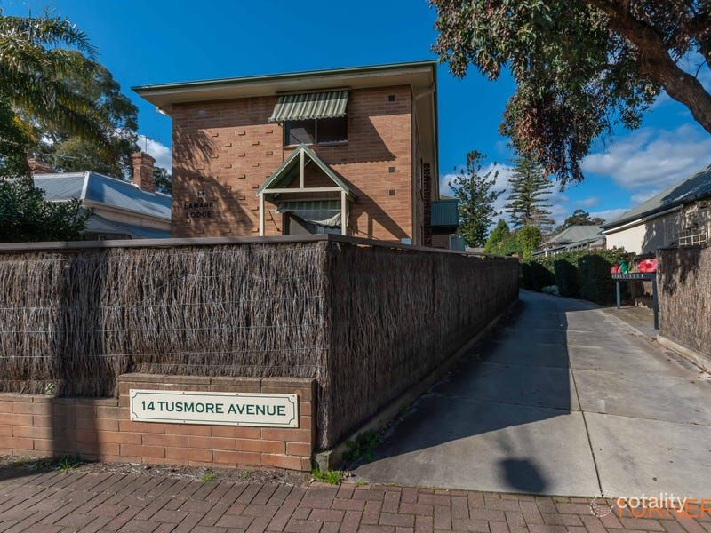 8/14 Tusmore Ave, Leabrook, SA 5068