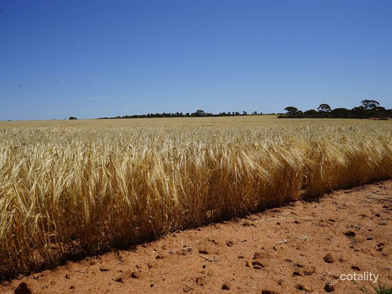 1406 Bimbijy Rd, Beacon, WA 6472