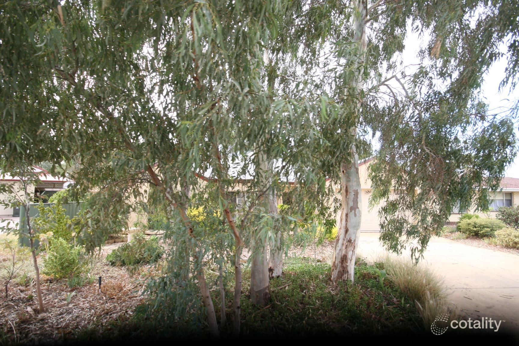 4a Cutting Rd, Marion, SA 5043
