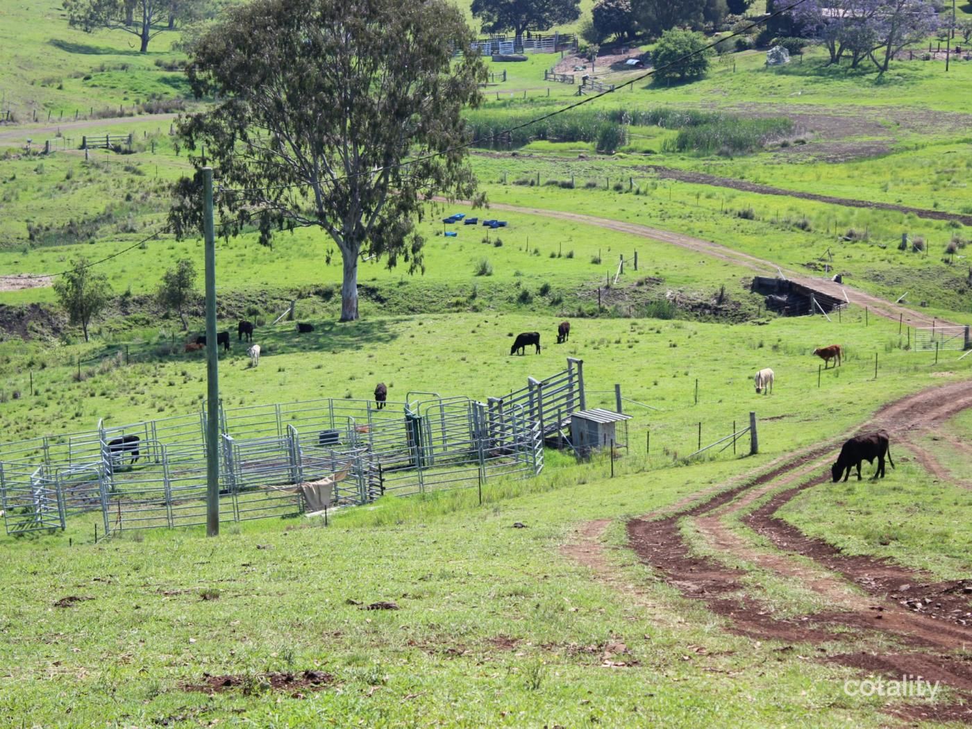 464 Dunns Rd, Doubtful Creek, NSW 2470