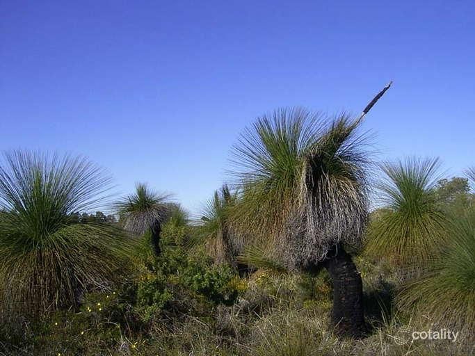 84 Heffron Way, Gabbadah, WA 6041