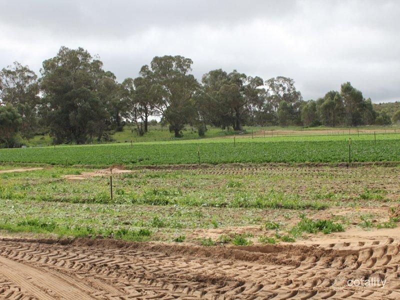 124 Gibbs Rd, Nowergup, WA 6032