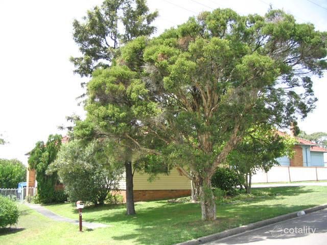 9 Alexander St, Wallsend, NSW 2287