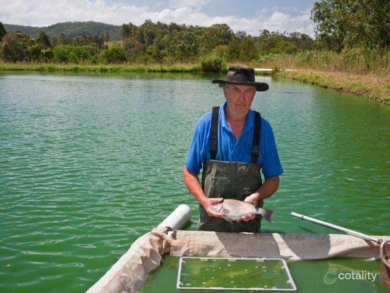 117 Bulli Creek Rd, Byabarra, NSW 2446