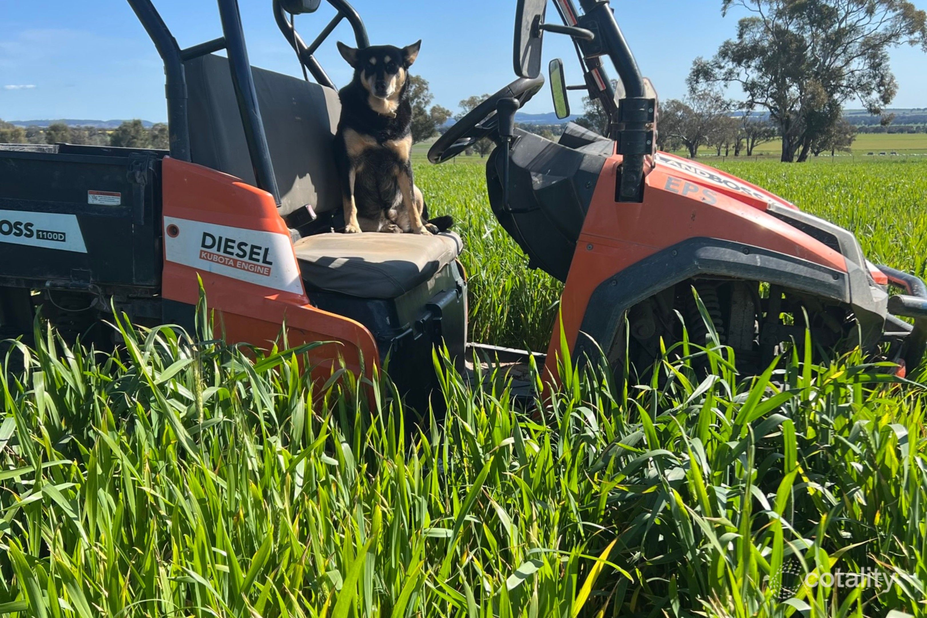 323 Clayneys Rd, Warraderry, NSW 2810