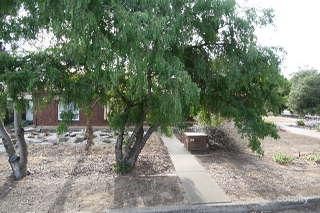 25 Radcliffe Gr, Christie Downs, SA 5164