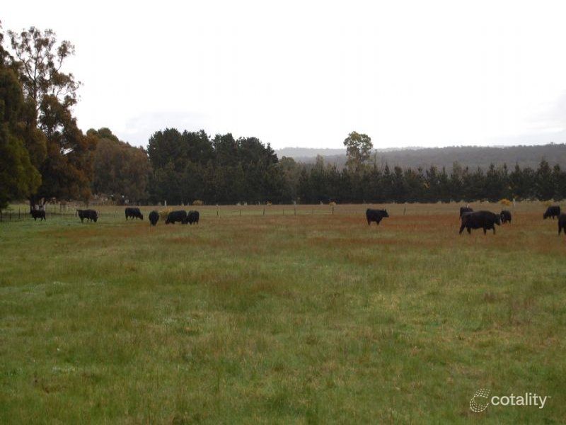 60a Grevillea Dr, Enfield, VIC 3352