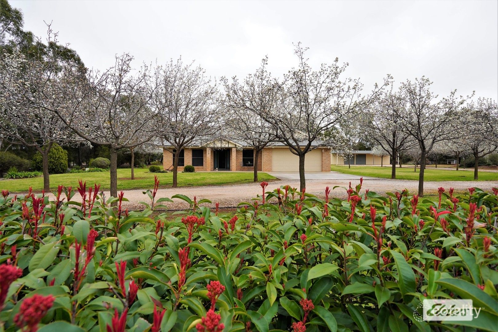 8 Mancini Dr, Lake Wyangan, NSW 2680