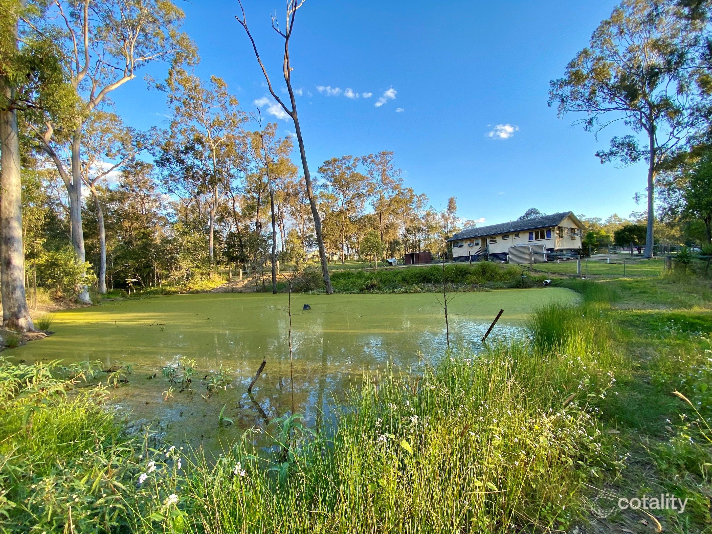 10 Wheatley Ct, Regency Downs, QLD 4341