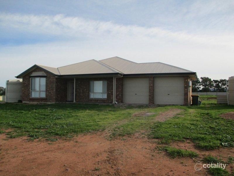 217 Olive Grove Rd, Napperby, SA 5540